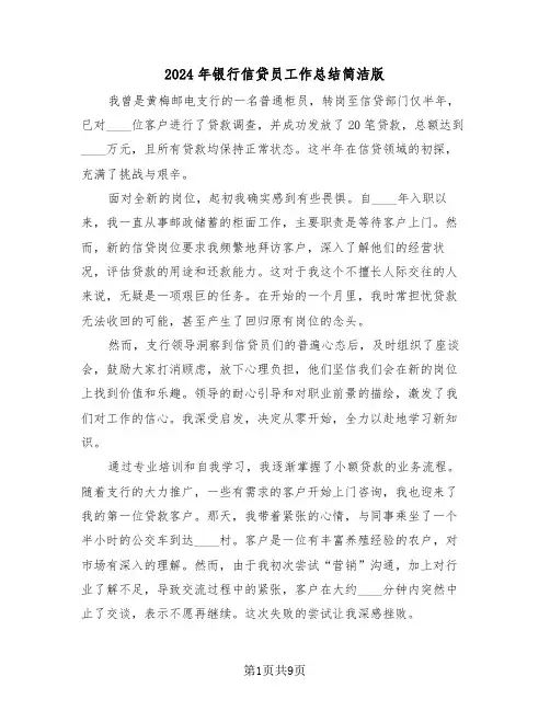 2024年银行信贷员工作总结简洁版（五篇）