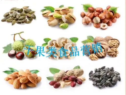 坚果网络营销策划