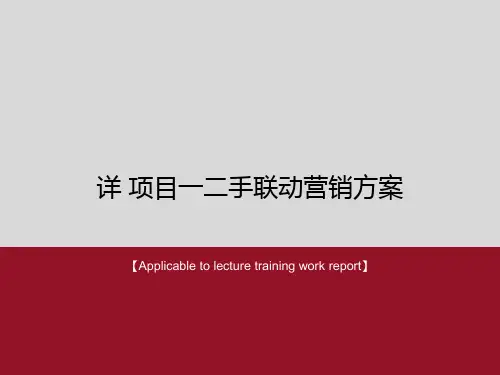 《详 项目一二手联动营销方案》PPT模板
