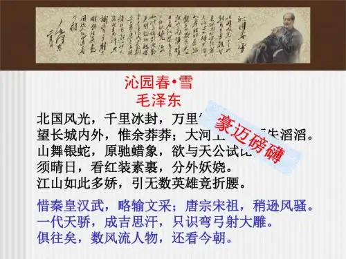 人教高中语文必修一沁园春长沙 (2)