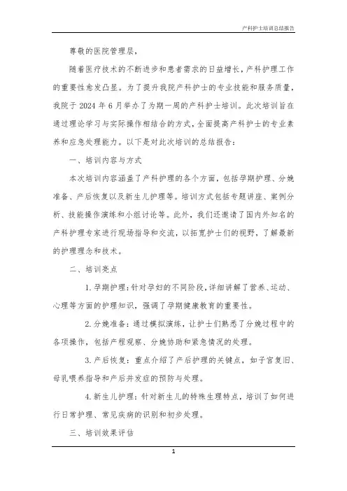 2024年产科护士培训总结报告