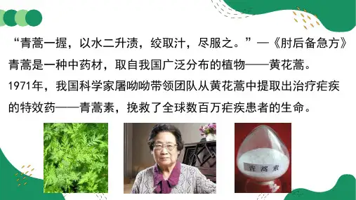 1.1 藻类、苔藓植物和蕨类植物2024-2025学年七年级生物上学期同步精美课件(人教版2024)
