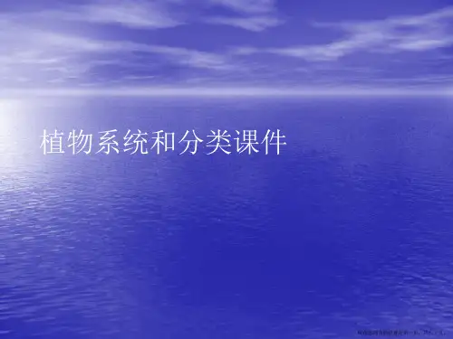 植物系统和分类PPT讲稿