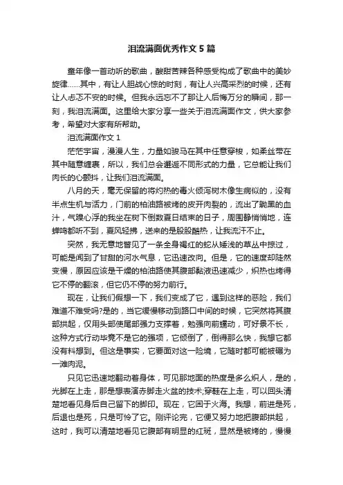 泪流满面优秀作文5篇
