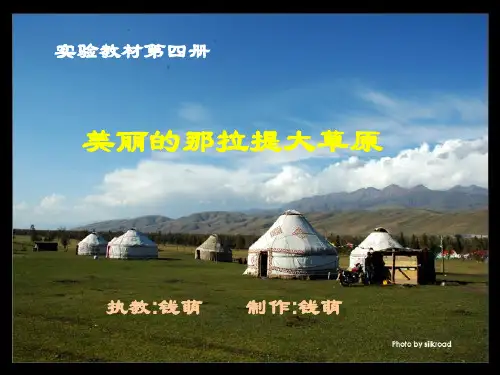美丽的那拉提大草原PPT课件