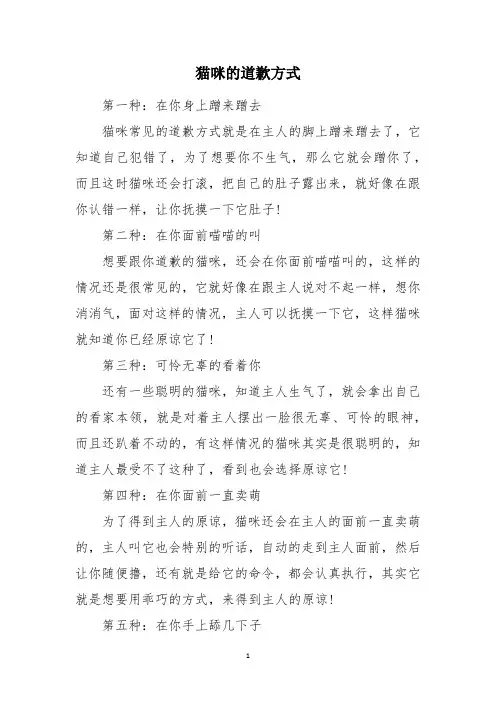 猫咪的道歉方式