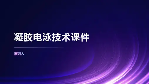 凝胶电泳技术课件