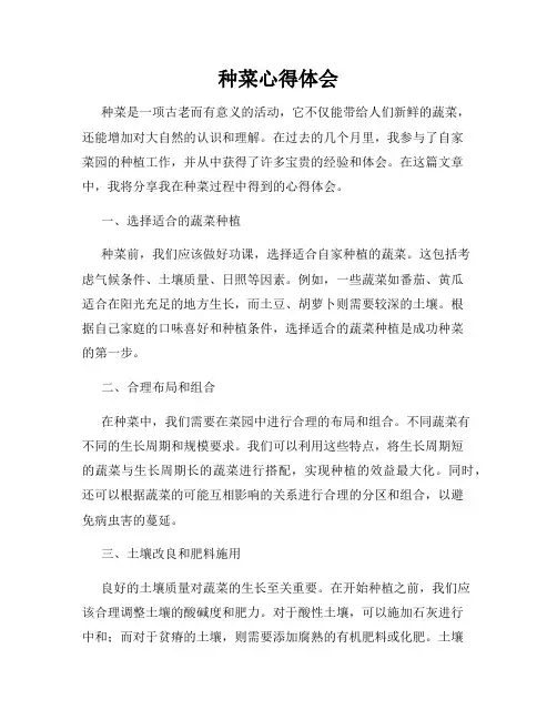 种菜心得体会