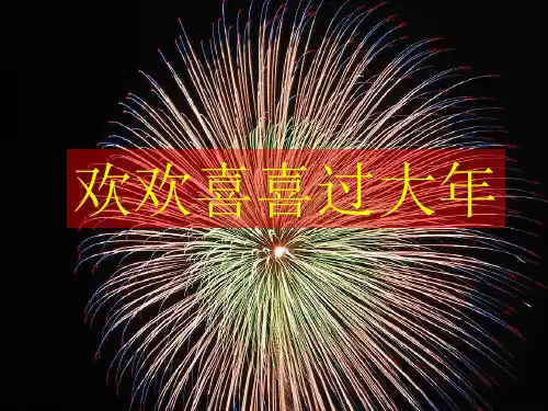 一年级上册道德与法治课件《快乐过新年》人教部编版 PPT