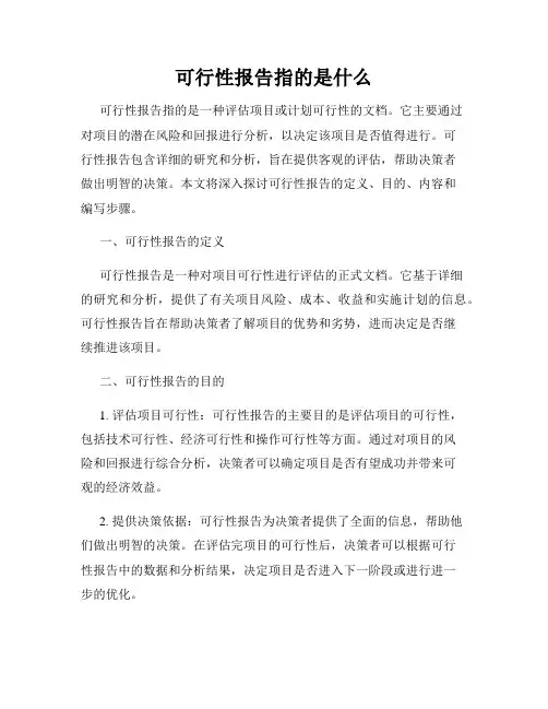可行性报告指的是什么