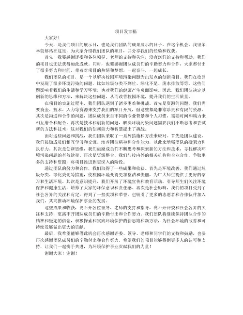 项目发言稿