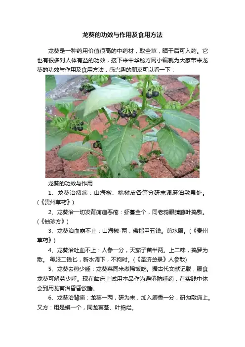 龙葵的功效与作用及食用方法