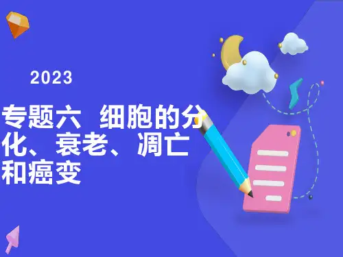 细胞的分化、衰老、凋亡和癌变 专题复习课件(LZH)