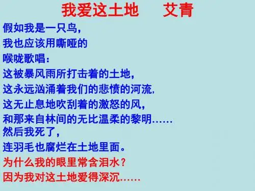 【高中语文】北方ppt10