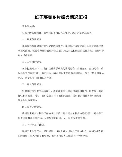 班子落实乡村振兴情况汇报