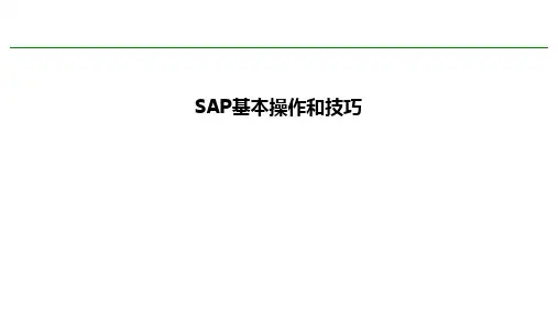 SAP基础操作与技巧