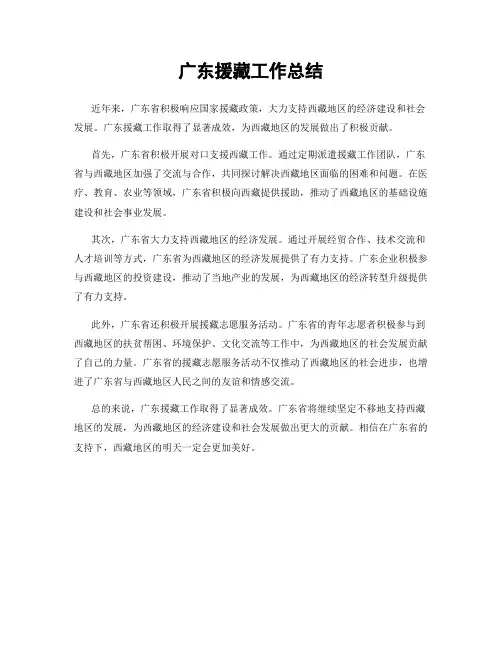 广东援藏工作总结
