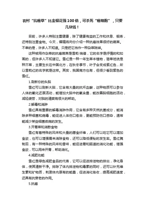 农村“抗癌草”比金银花强100倍，可杀死“癌细胞”，只要几块钱！
