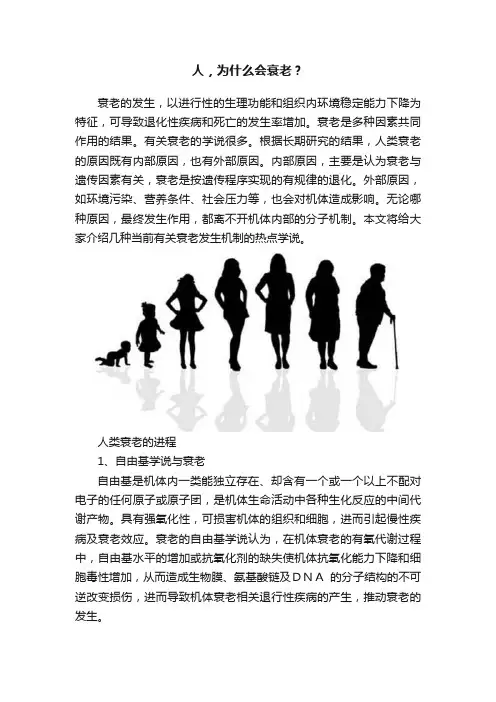 人，为什么会衰老？