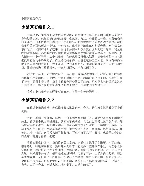 小猫真有趣作文