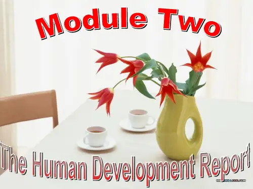 外研版高中英语必修三module2知识点课件(共30张PPT)