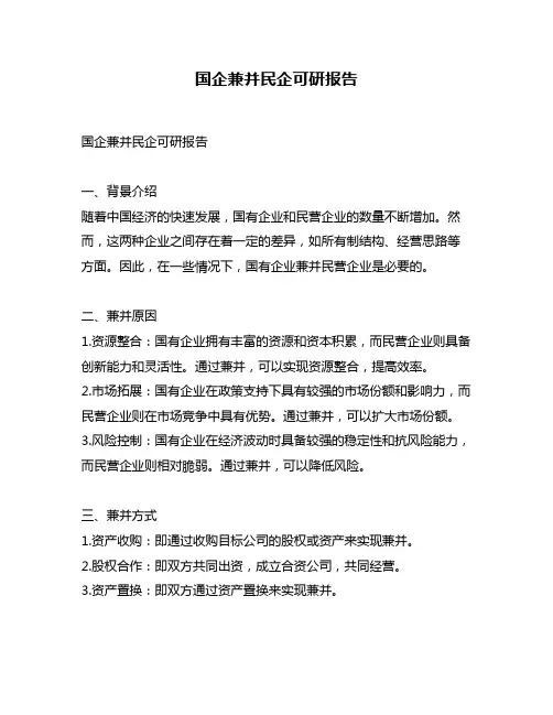 国企兼并民企可研报告