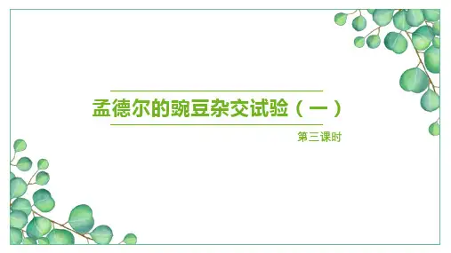 孟德尔的豌豆杂交实验(一) 课件第三课时 高中生物新人教版必修2
