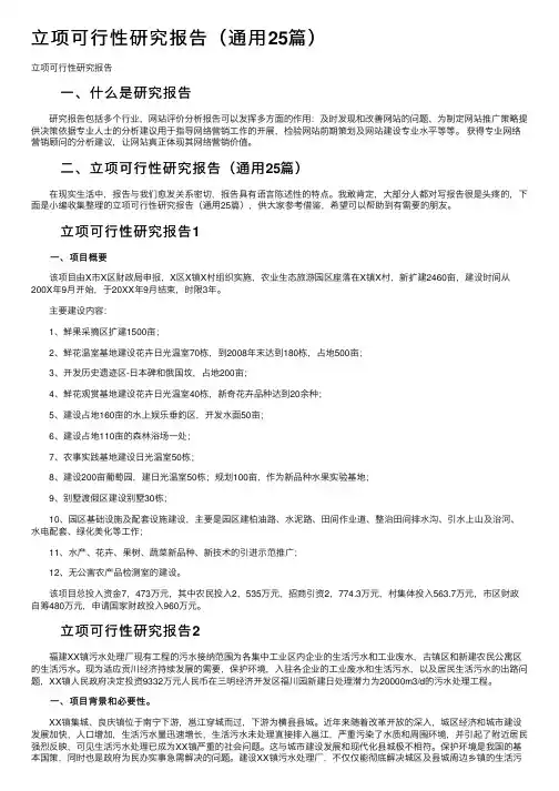 立项可行性研究报告（通用25篇）