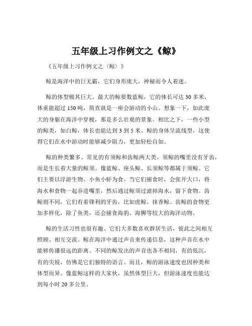 五年级上习作例文之《鲸》