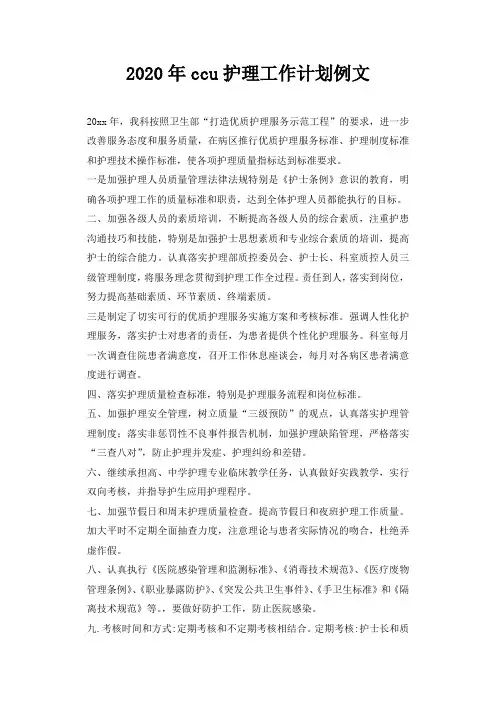 2020年ccu护理工作计划例文