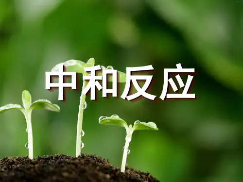 酸和碱的中和反应 (2)