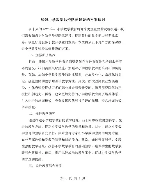 加强小学数学师资队伍建设的方案探讨