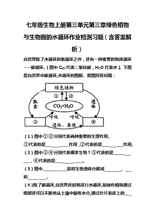 七年级生物上册第三单元第三章绿色植物与生物圈的水循环作业检测习题(含答案解析)(78)