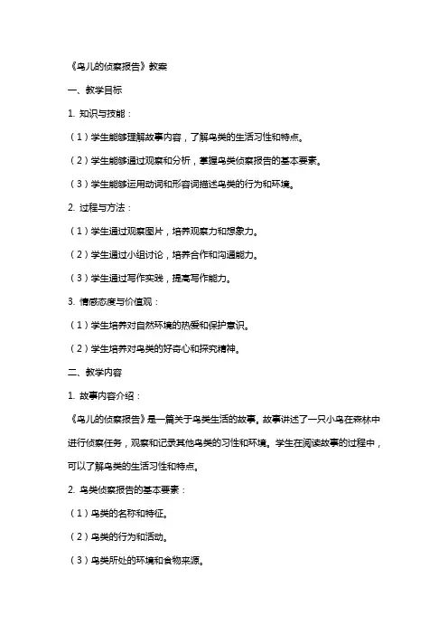 《鸟儿的侦察报告》教案