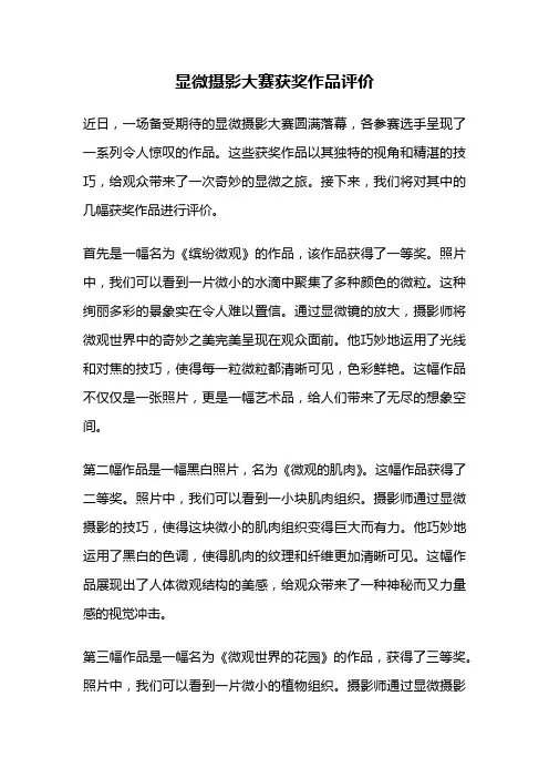 显微摄影大赛获奖作品评价