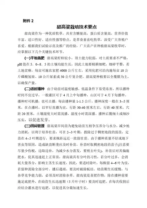 甜高粱栽培技术要点