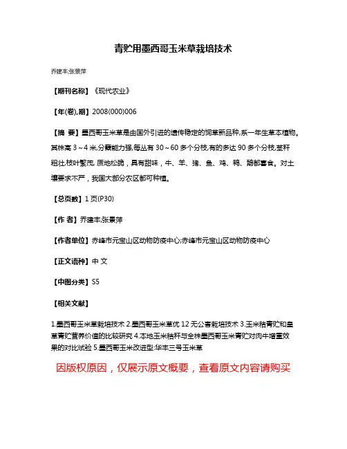 青贮用墨西哥玉米草栽培技术
