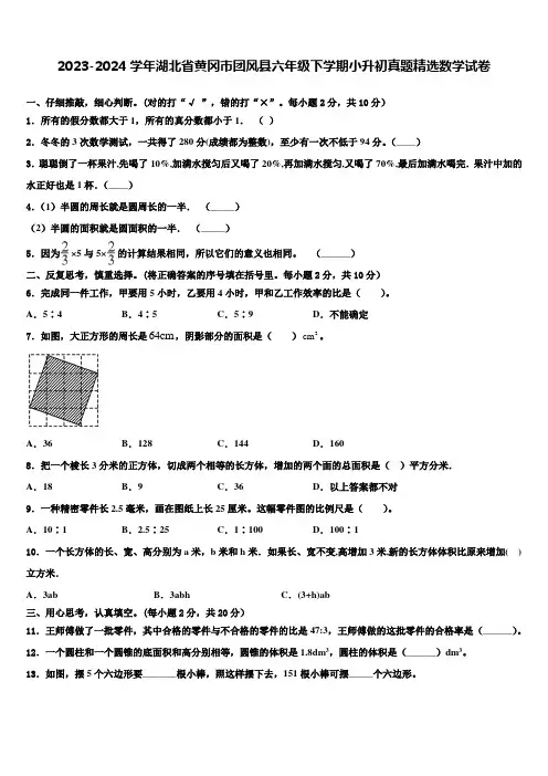 2023-2024学年湖北省黄冈市团风县六年级下学期小升初真题数学试卷含解析