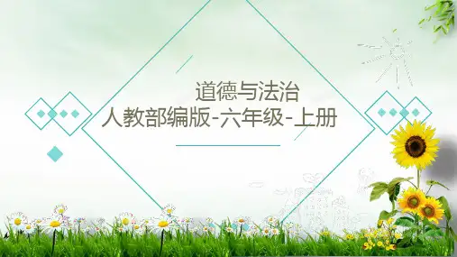 《宪法是根本法》优秀课件ppt(共17页)