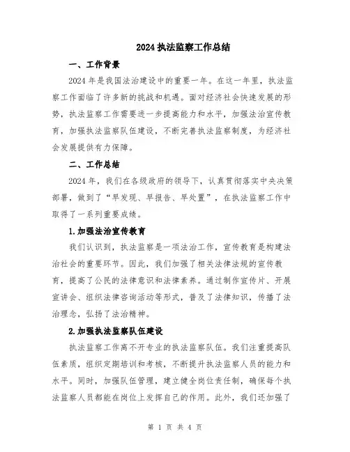 2024执法监察工作总结