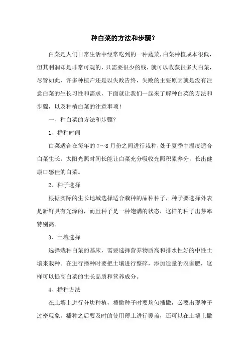种白菜的方法和步骤？