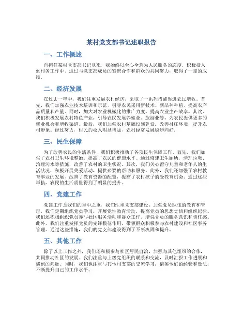 某村党支部书记述职报告