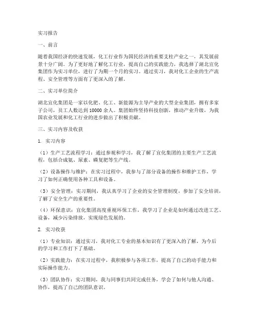 宜化_实习报告