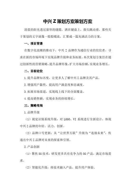 中兴Z策划方案策划方案