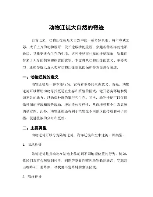 动物迁徙大自然的奇迹