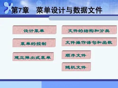 VB七章课件