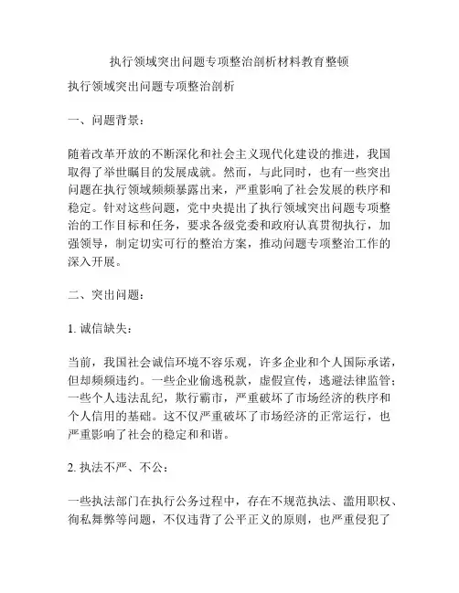 执行领域突出问题专项整治剖析材料教育整顿