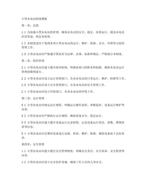 小型水电站制度模板