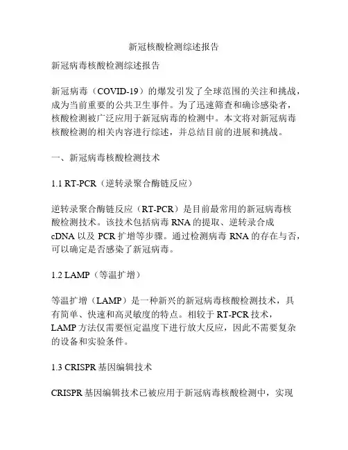 新冠核酸检测综述报告