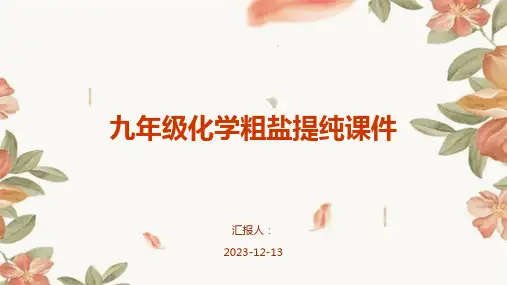 九年级化学粗盐提纯课件